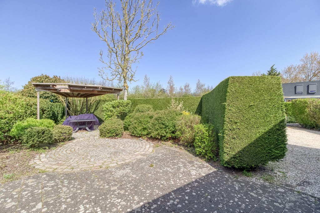 Liguster 77 Nieuwvliet-10.jpg